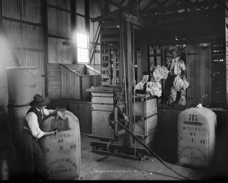 Black and white photograph of two men loading wool into a machine to compress it into bales. A man on the left is stencilling these bales with the company logo which looks like a backwards and forwards letter R joined at the spine.